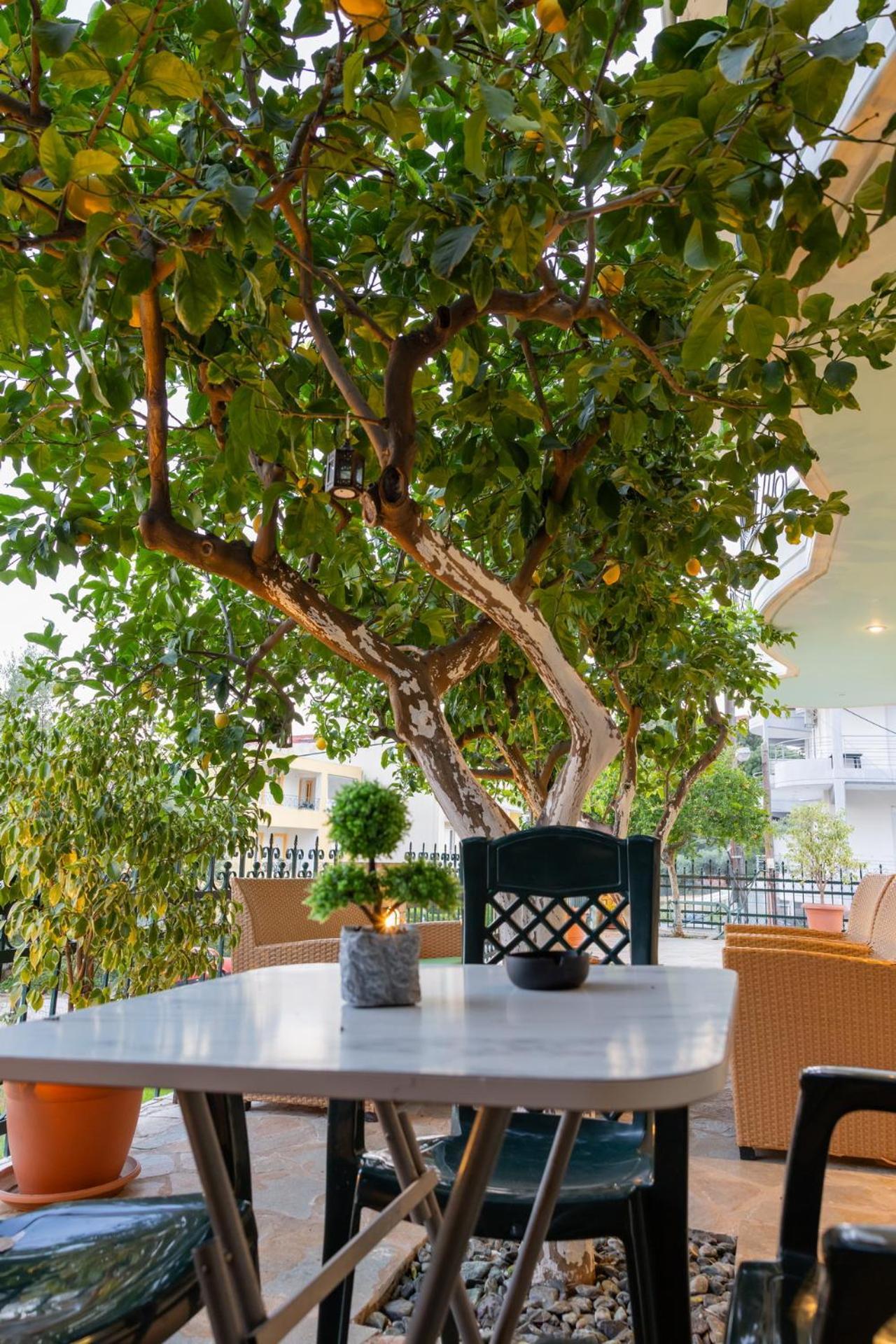 Ferienwohnung Nelly'S Modern House Nafpaktos Exterior foto